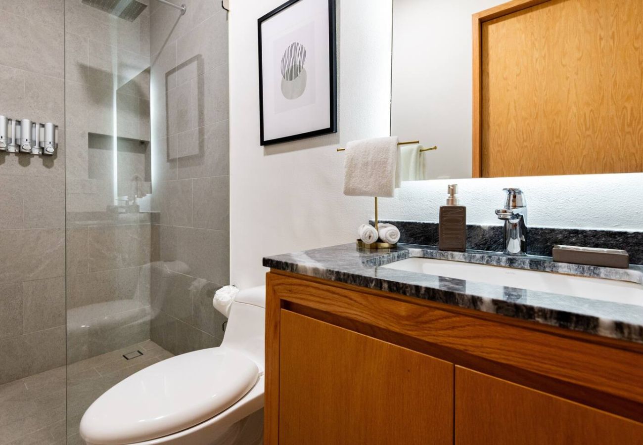 Apartamento en Puerto Vallarta - Bello y Céntrico Departamento Apartamento en Puerto Vallarta - Bello y Céntrico Departamento